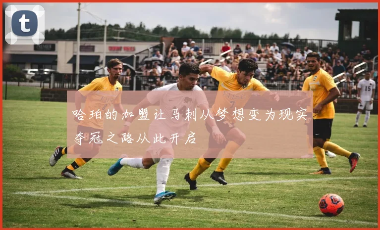 哈珀的加盟让马刺从梦想变为现实夺冠之路从此开启