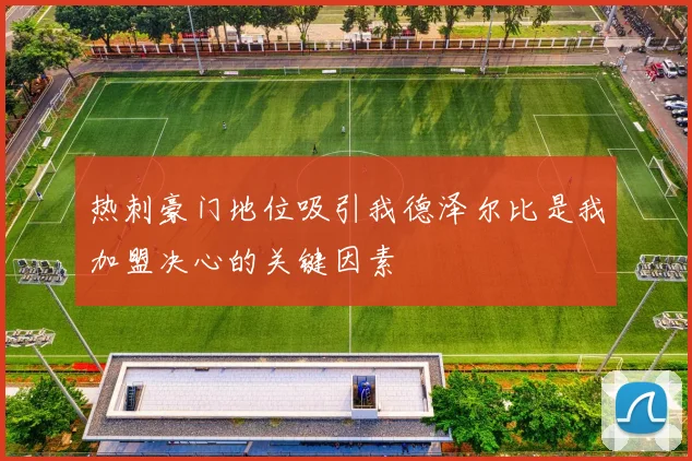 热刺豪门地位吸引我德泽尔比是我加盟决心的关键因素